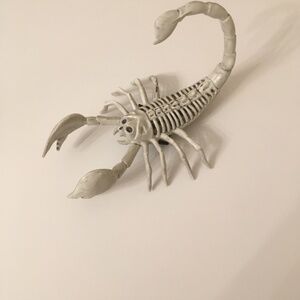 Creepy Wearable Halloween Scorpion Skeleton EUC